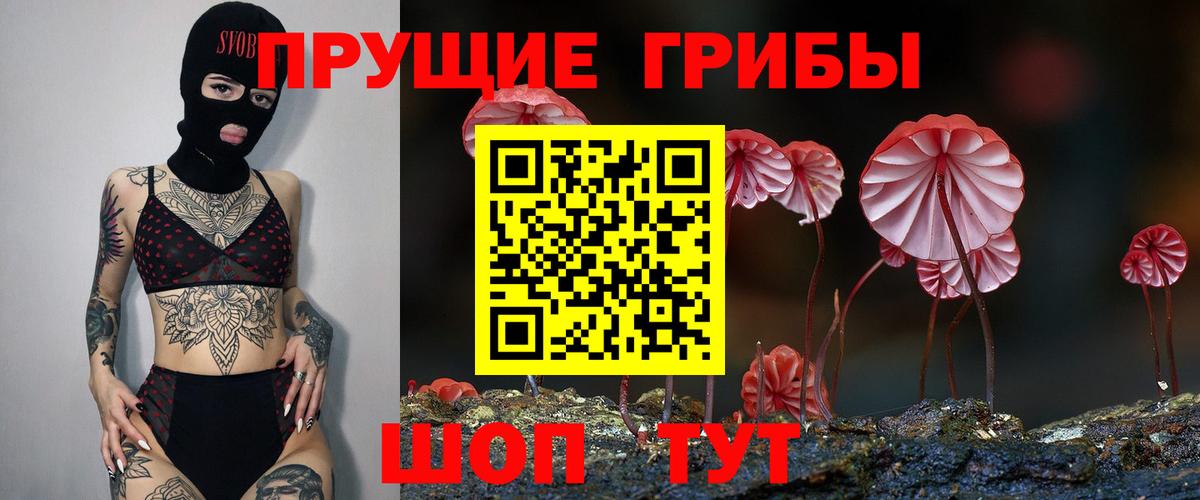 Сафоново  Псилоцибиновые грибы GOLDEN TEACHER  Вход с VPN 